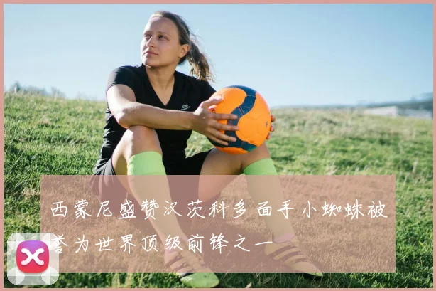 西蒙尼盛赞汉茨科多面手小蜘蛛被誉为世界顶级前锋之一