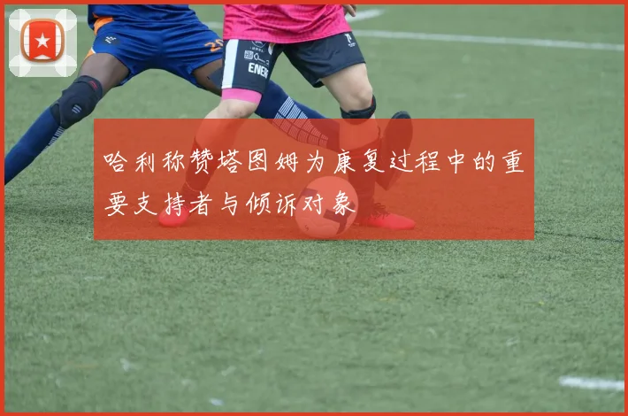 哈利称赞塔图姆为康复过程中的重要支持者与倾诉对象